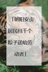 朝阳安贞居民包千个粽子送给劳动者