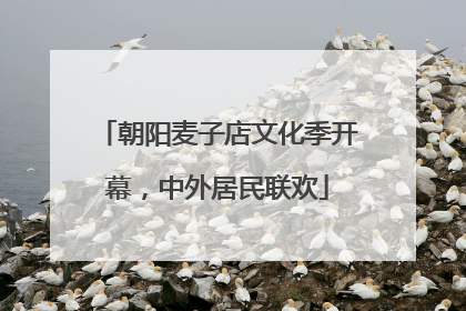 朝阳麦子店文化季开幕，中外居民联欢