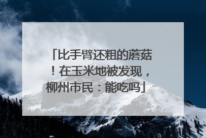 比手臂还粗的蘑菇！在玉米地被发现，柳州市民：能吃吗