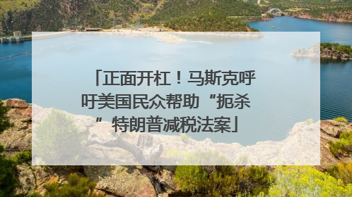 正面开杠！马斯克呼吁美国民众帮助“扼杀”特朗普减税法案