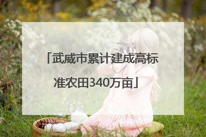 武威市累计建成高标准农田340万亩