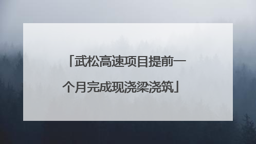 武松高速项目提前一个月完成现浇梁浇筑