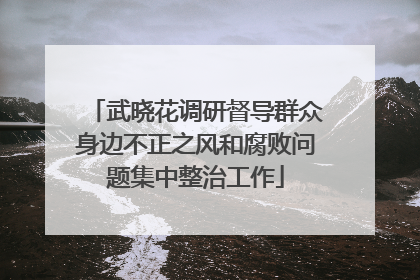 武晓花调研督导群众身边不正之风和腐败问题集中整治工作