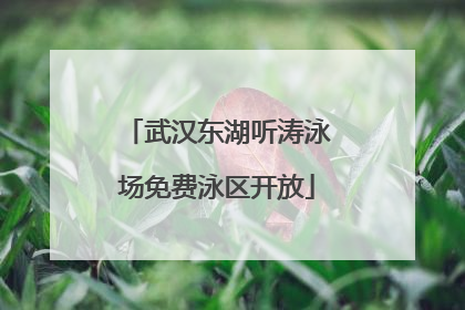 武汉东湖听涛泳场免费泳区开放