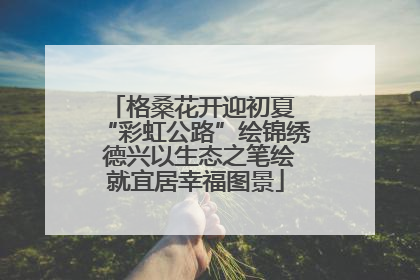 格桑花开迎初夏 “彩虹公路”绘锦绣 德兴以生态之笔绘就宜居幸福图景