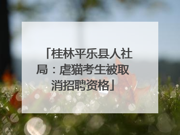 桂林平乐县人社局：虐猫考生被取消招聘资格