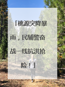 桃源突降暴雨，民辅警奋战一线抗洪抢险！