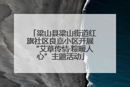 梁山县梁山街道红旗社区良嘉小区开展“艾草传情·粽暖人心”主题活动