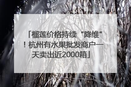 榴莲价格持续“降维”！杭州有水果批发商户一天卖出近2000箱