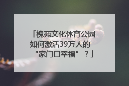 槐苑文化体育公园如何激活39万人的“家门口幸福”？
