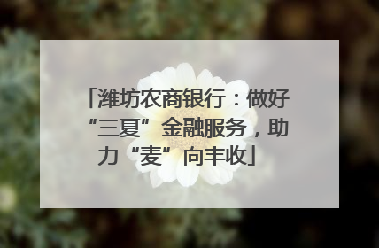 潍坊农商银行：做好“三夏”金融服务，助力“麦”向丰收