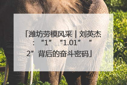 潍坊劳模风采｜刘英杰：“1”“1.01”“2”背后的奋斗密码