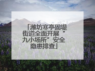潍坊寒亭固堤街道全面开展“九小场所”安全隐患排查