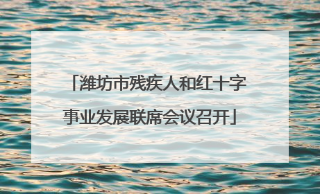 潍坊市残疾人和红十字事业发展联席会议召开