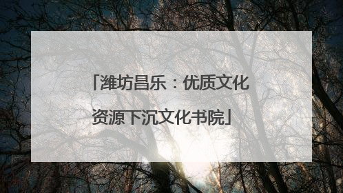 潍坊昌乐：优质文化资源下沉文化书院