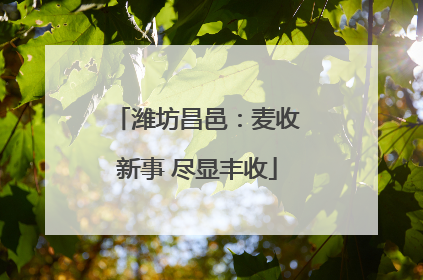 潍坊昌邑：麦收新事 尽显丰收
