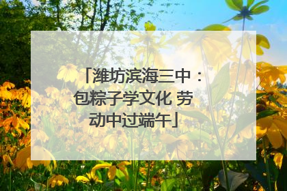 潍坊滨海三中：包粽子学文化 劳动中过端午