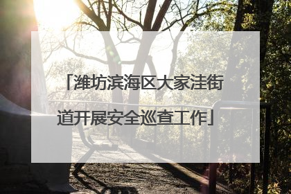 潍坊滨海区大家洼街道开展安全巡查工作