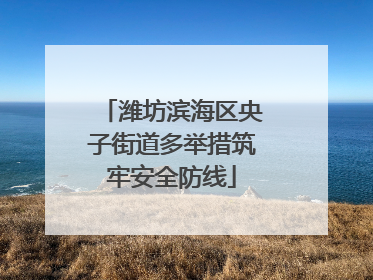 潍坊滨海区央子街道多举措筑牢安全防线