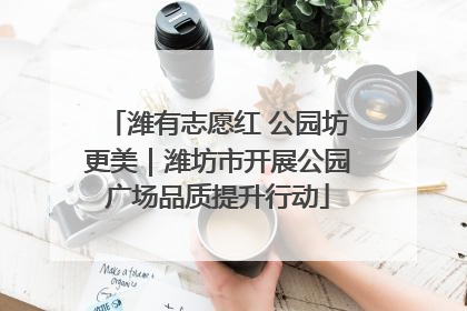 潍有志愿红 公园坊更美｜潍坊市开展公园广场品质提升行动