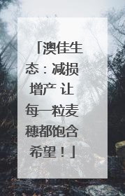 澳佳生态：减损增产 让每一粒麦穗都饱含希望！