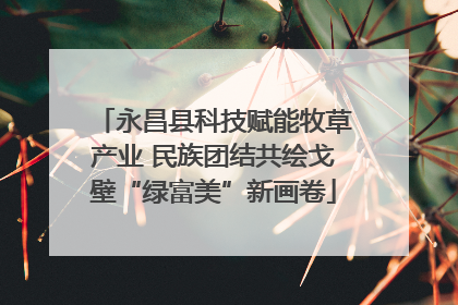 永昌县科技赋能牧草产业 民族团结共绘戈壁“绿富美”新画卷