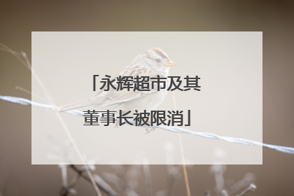 永辉超市及其董事长被限消