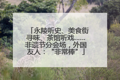 永陵听史、美食街寻味、茶馆听戏……非遗节分会场，外国友人：“非常棒”
