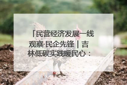 民营经济发展一线观察·民企先锋｜吉林低碳实践暖民心：太阳能供暖技术为北方清洁取暖破局