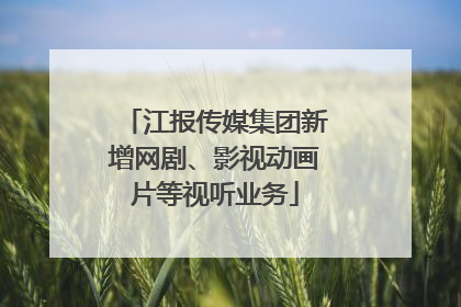 江报传媒集团新增网剧、影视动画片等视听业务