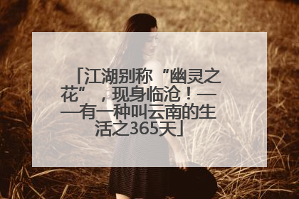 江湖别称“幽灵之花”，现身临沧！——有一种叫云南的生活之365天