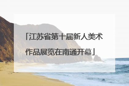 江苏省第十届新人美术作品展览在南通开幕