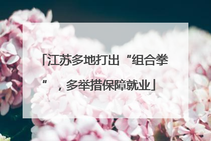 江苏多地打出“组合拳”，多举措保障就业
