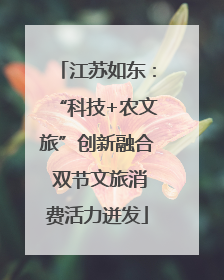 江苏如东：“科技+农文旅”创新融合 双节文旅消费活力迸发
