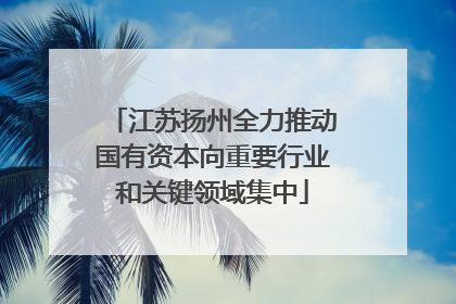 江苏扬州全力推动国有资本向重要行业和关键领域集中
