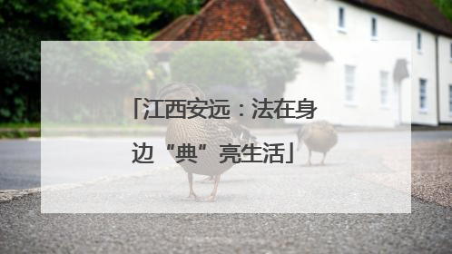 江西安远：法在身边“典”亮生活