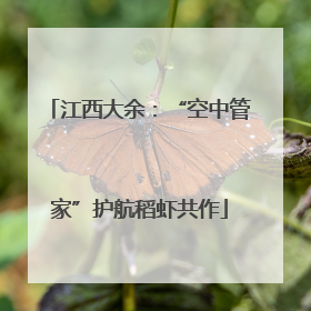 江西大余：“空中管家”护航稻虾共作