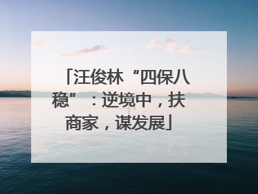 汪俊林“四保八稳”：逆境中，扶商家，谋发展