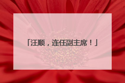 汪顺，连任副主席！