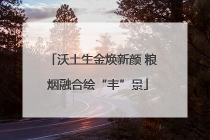 沃土生金焕新颜 粮烟融合绘“丰”景