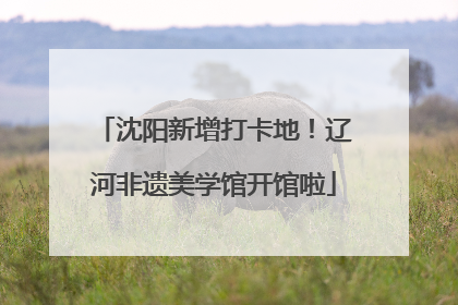 沈阳新增打卡地！辽河非遗美学馆开馆啦