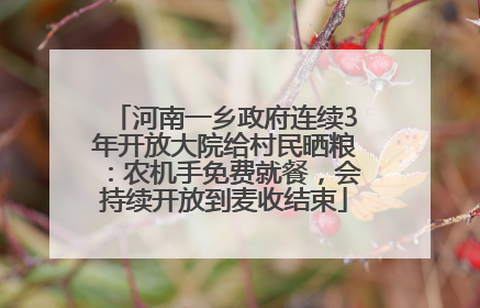 河南一乡政府连续3年开放大院给村民晒粮：农机手免费就餐，会持续开放到麦收结束