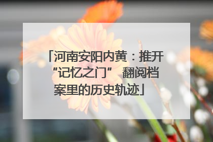 河南安阳内黄：推开“记忆之门” 翻阅档案里的历史轨迹