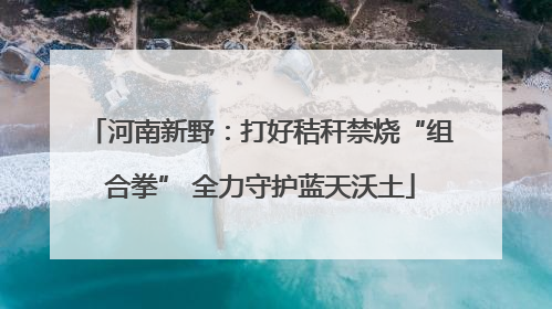 河南新野：打好秸秆禁烧“组合拳” 全力守护蓝天沃土