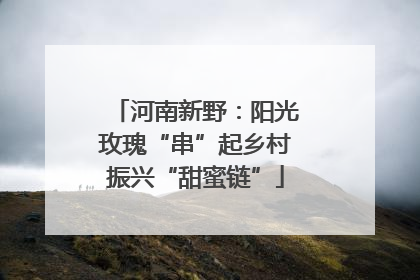 河南新野：阳光玫瑰“串”起乡村振兴“甜蜜链”