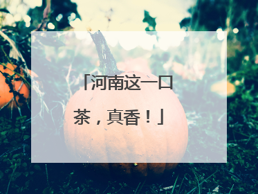 河南这一口茶，真香！