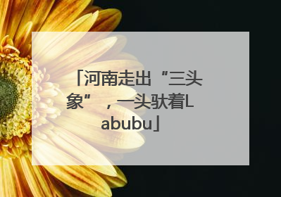 河南走出“三头象”，一头驮着Labubu