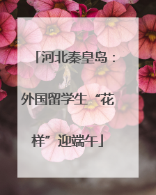 河北秦皇岛：外国留学生“花样”迎端午
