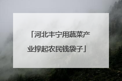 河北丰宁用蔬菜产业撑起农民钱袋子