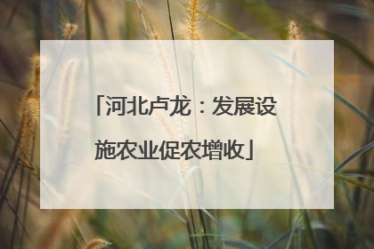 河北卢龙：发展设施农业促农增收